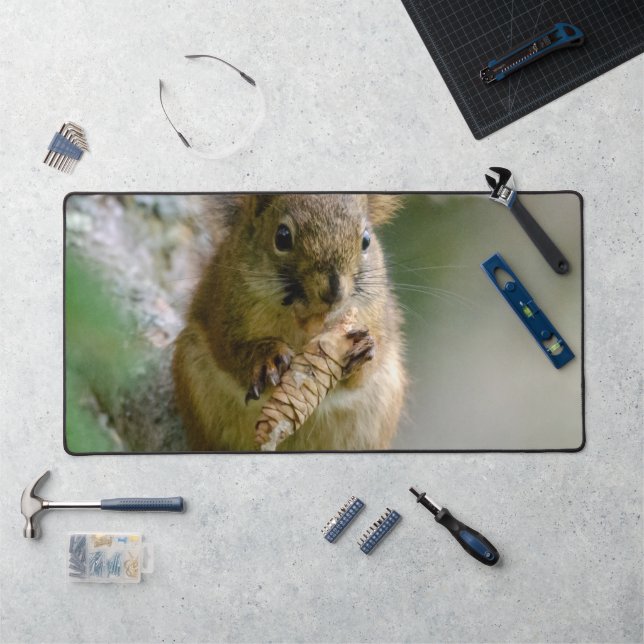 Peaceful Brown Squirrel in the Wild (Poste de travail)