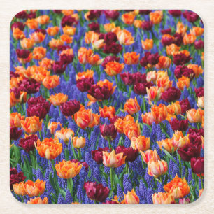 Peach and Red Tulips in Gran Hyacinth Blume Rechteckiger Pappuntersetzer