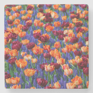 Peach and Red Tulips in Gran Hyacinth Blume Steinuntersetzer