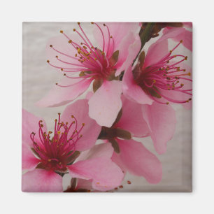 Peach Blossom Kühlschrankmagnet