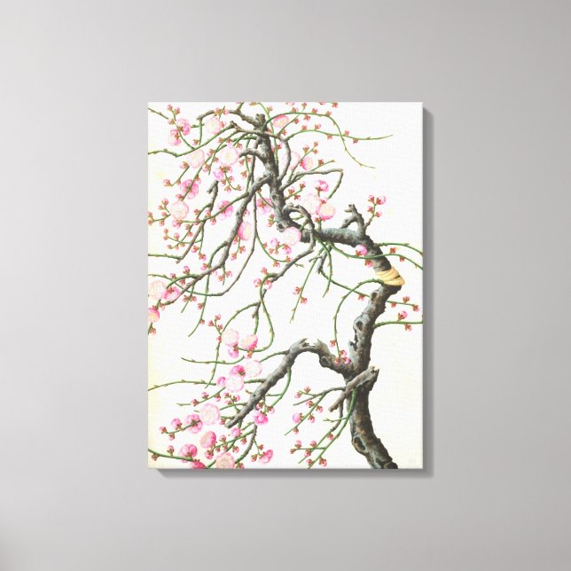 Peach Blossom Leinwanddruck (Vorderseite)