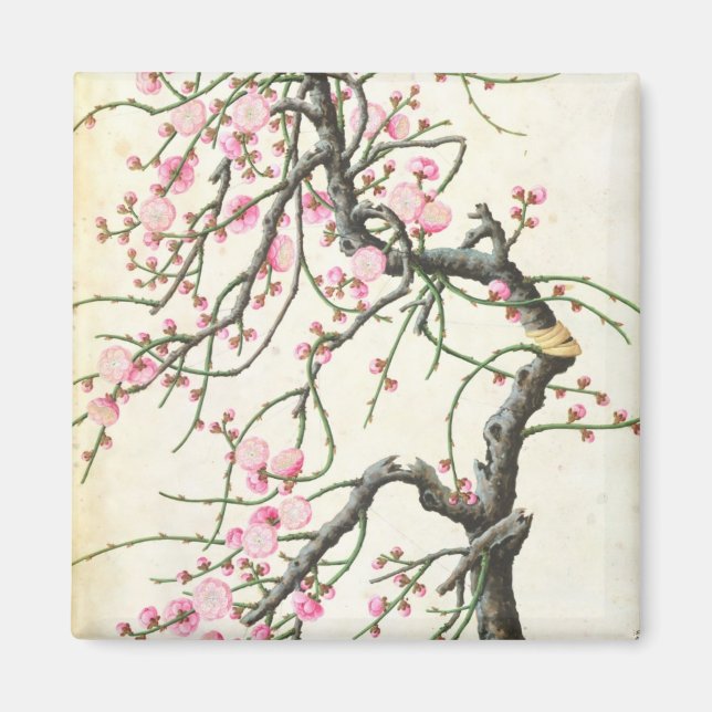Peach Blossom Magnet (Vorne)