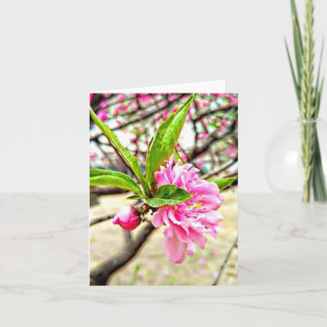 Peach Blossom plié Carte de remerciements (Devant)