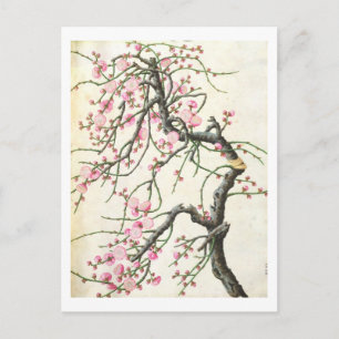 Peach Blossom Postkarte