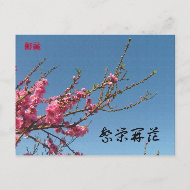 Peach Blossom Tree Postkarte (Vorderseite)