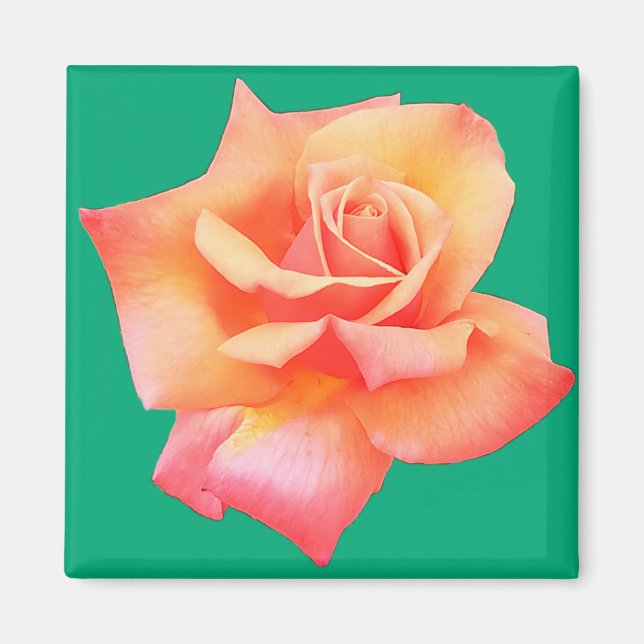 Peach-Blume Magnet (Vorne)