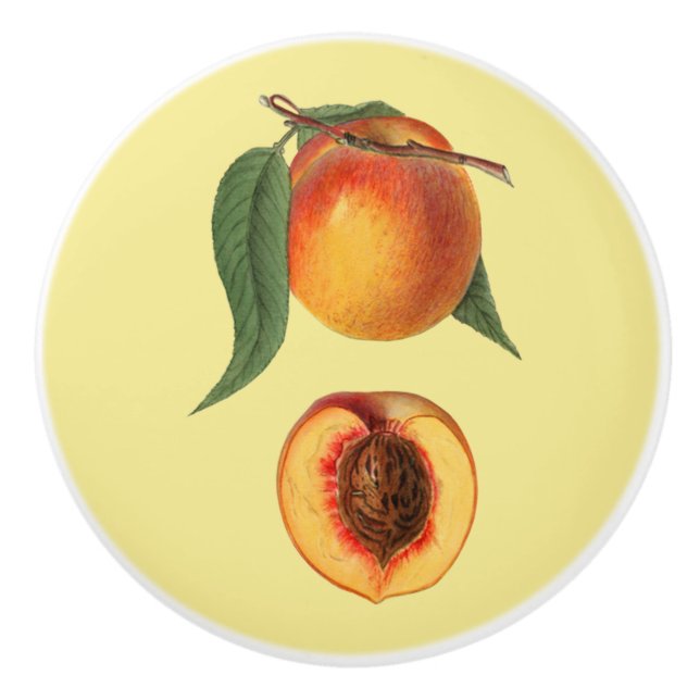 Peach ~ Botanisches Obst ~ Hintergrundfarbe ~ Keramikknauf (Vorderseite)