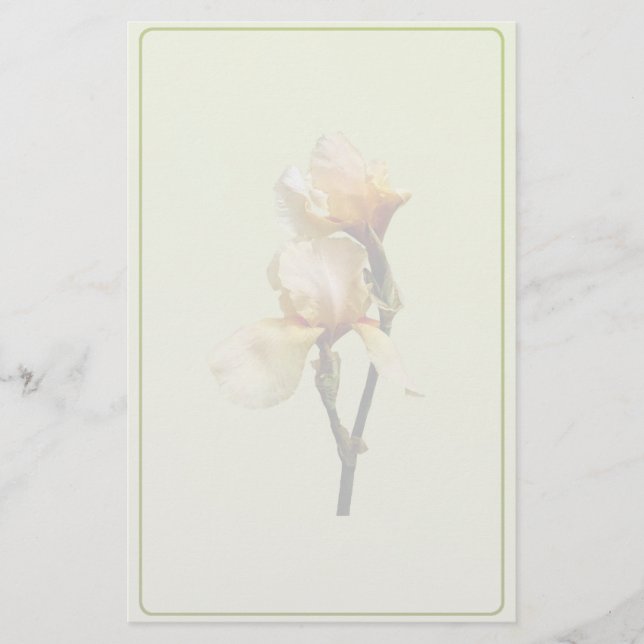 Peach Colored Irises Briefpapier (Vorderseite)