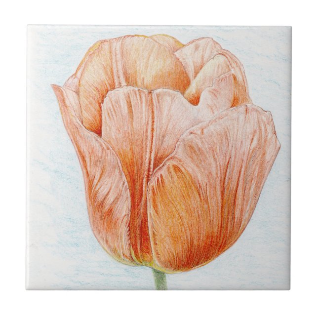 Peach Colored Tulip Fliese (Vorderseite)