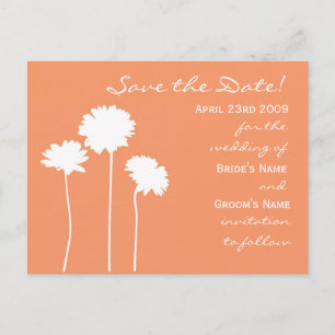 Peach Daisy Save the Date Ankündigungspostkarte