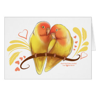 Peach Faced Lutino Lovebirds