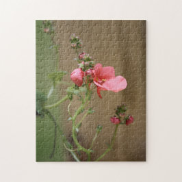 Peach Floral Puzzle