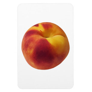 Peach Foto Magnet