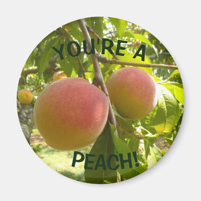 Peach Foto text Sie sind ein Peach Magnet (Vorne)