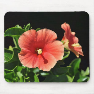 Peach Hibiskus Floral Mousepad