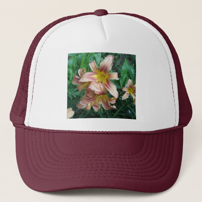 Peach Lily Casquette (Devant)