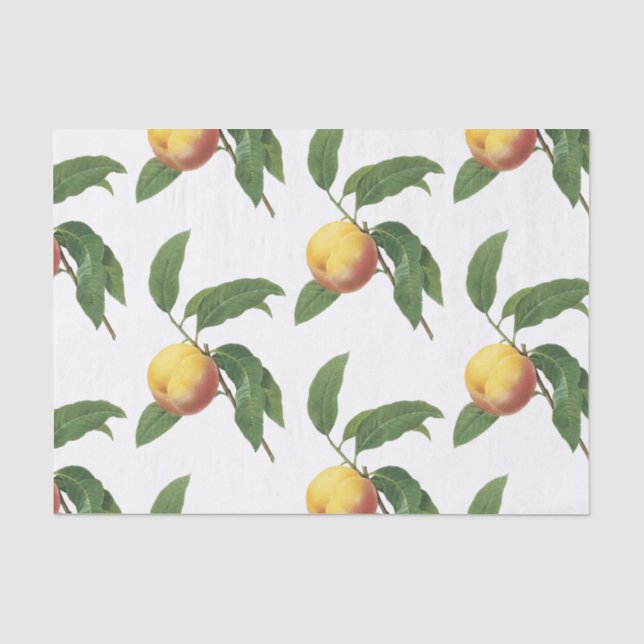 Peach-Muster Seidenpapier (Vorderseite)