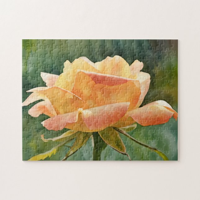 Peach Orange Rose Garden (Horizontal)