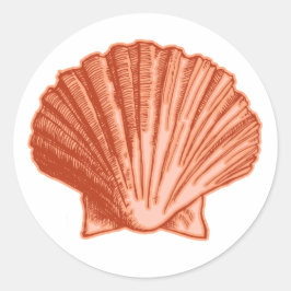 Peach Orange Seashell Stickers