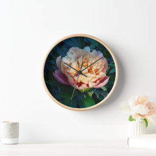 Peach Peony, Blumenfotografie Uhr