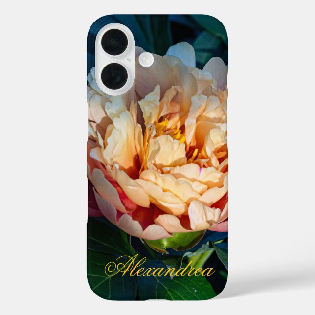 Peach Peony - Romantische Blumenfotografie iPhone 16 Hülle (Rückseite)