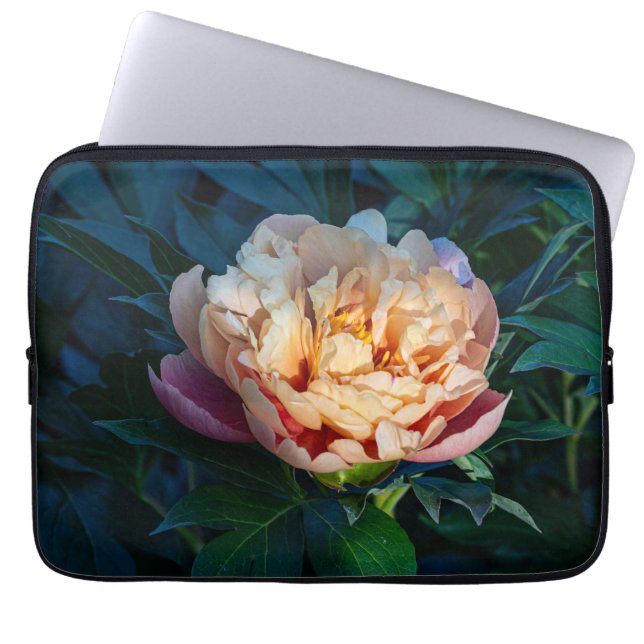 Peach Peony, Soft Pastell Blume Foto Laptopschutzhülle (Vorderseite)