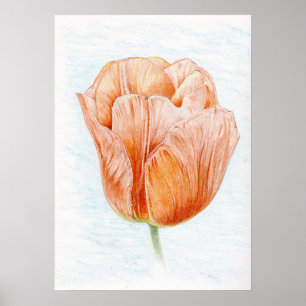 Peach Poster