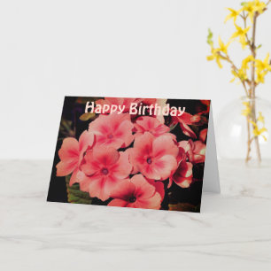 Peach Primrose Flower Photographie Carte d'anniver