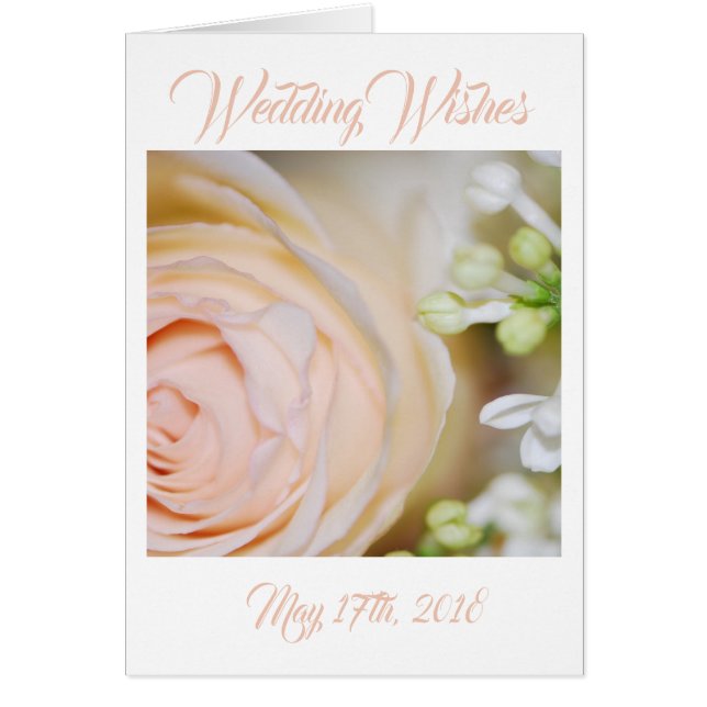 Peach Rose and Lilacs (Vorne)