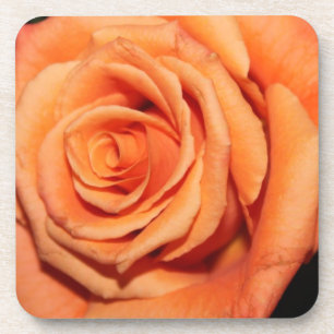 Peach Rose Cork Untersetzer