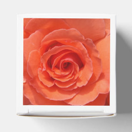 Peach-Rose Geschenkschachtel