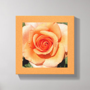 Peach-Rose Leinwanddruck