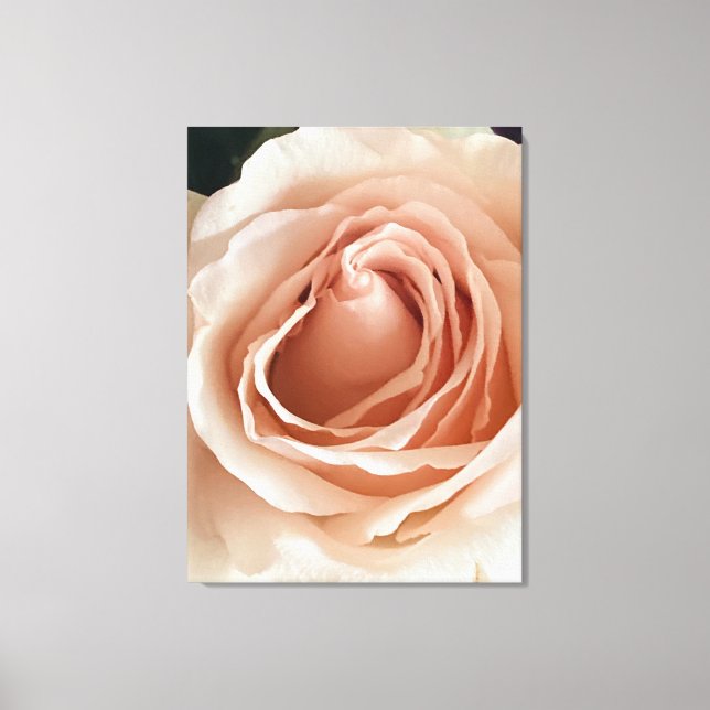 Peach-Rose Leinwanddruck (Vorderseite)