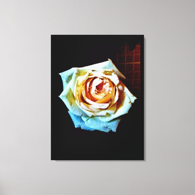 Peach-Rose Leinwanddruck (Vorderseite)