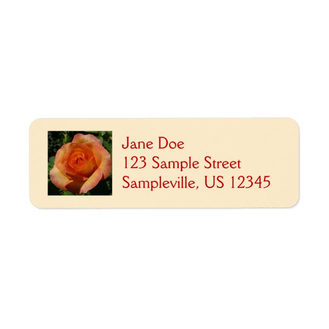 Peach Rose Orange Floral Fotografie (Vorne)