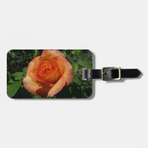 Peach Rose Orange Floral Fotografie Gepäckanhänger