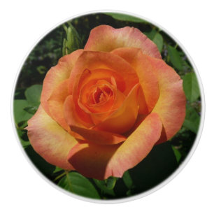 Peach Rose Orange Floral Fotografie Keramikknauf