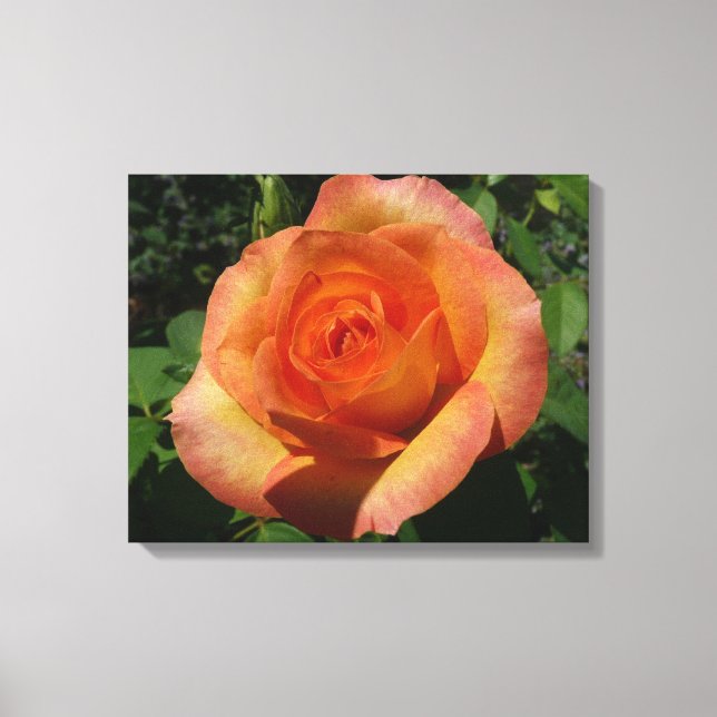 Peach Rose Orange Floral Fotografie Leinwanddruck (Vorderseite)