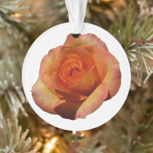 Peach Rose Orange Floral Fotografie Ornament