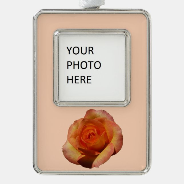 Peach Rose Orange Floral Fotografie Rahmen-Ornament Silber (Vorderseite)