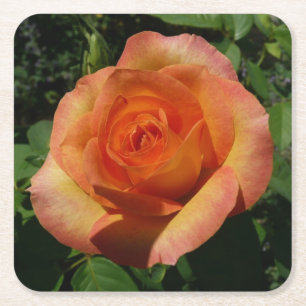 Peach Rose Orange Floral Fotografie Rechteckiger Pappuntersetzer