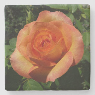 Peach Rose Orange Floral Fotografie Steinuntersetzer