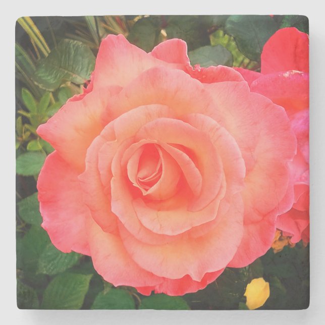 Peach-Rose Steinuntersetzer (Vorderseite)
