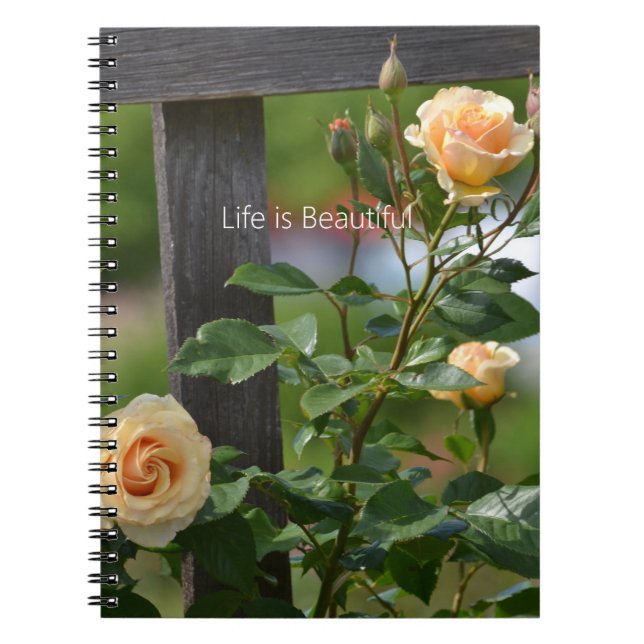 Peach Roses Fence Floral (my photography) Notizblock (Vorderseite)