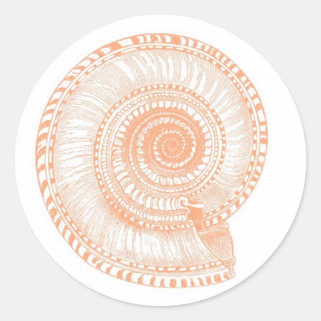Peach Seashell Sticker (Vorderseite)