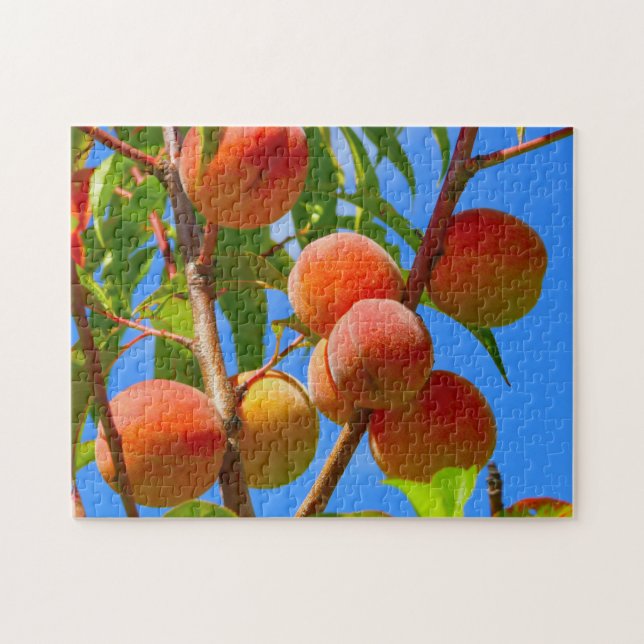 Peach tree (Horizontal)