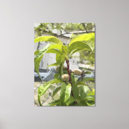 Peach Tree Gestrickte Canvas Print Leinwanddruck