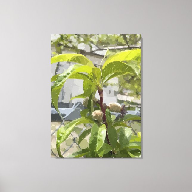 Peach Tree Gestrickte Canvas Print Leinwanddruck (Vorderseite)