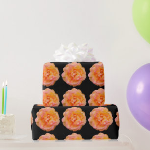 Peach Yellow Pink Blend Rose Blume Foto auf Schwar Geschenkpapier