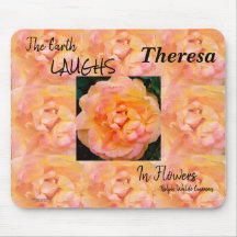 Peach Yellow Pink Blende Rose Blume Foto